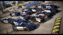 Lore Friendly Police Pack v2